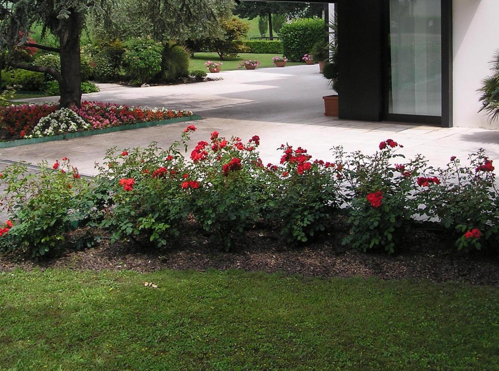 Hotel Giovanni Padova Ngoại thất bức ảnh